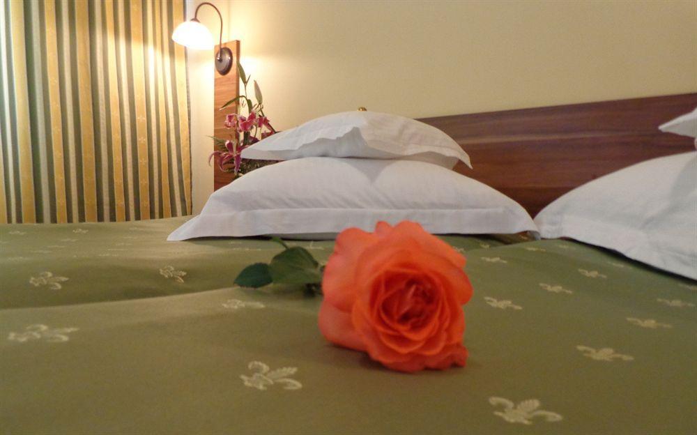 Hotel Lyra Oradea Extérieur photo