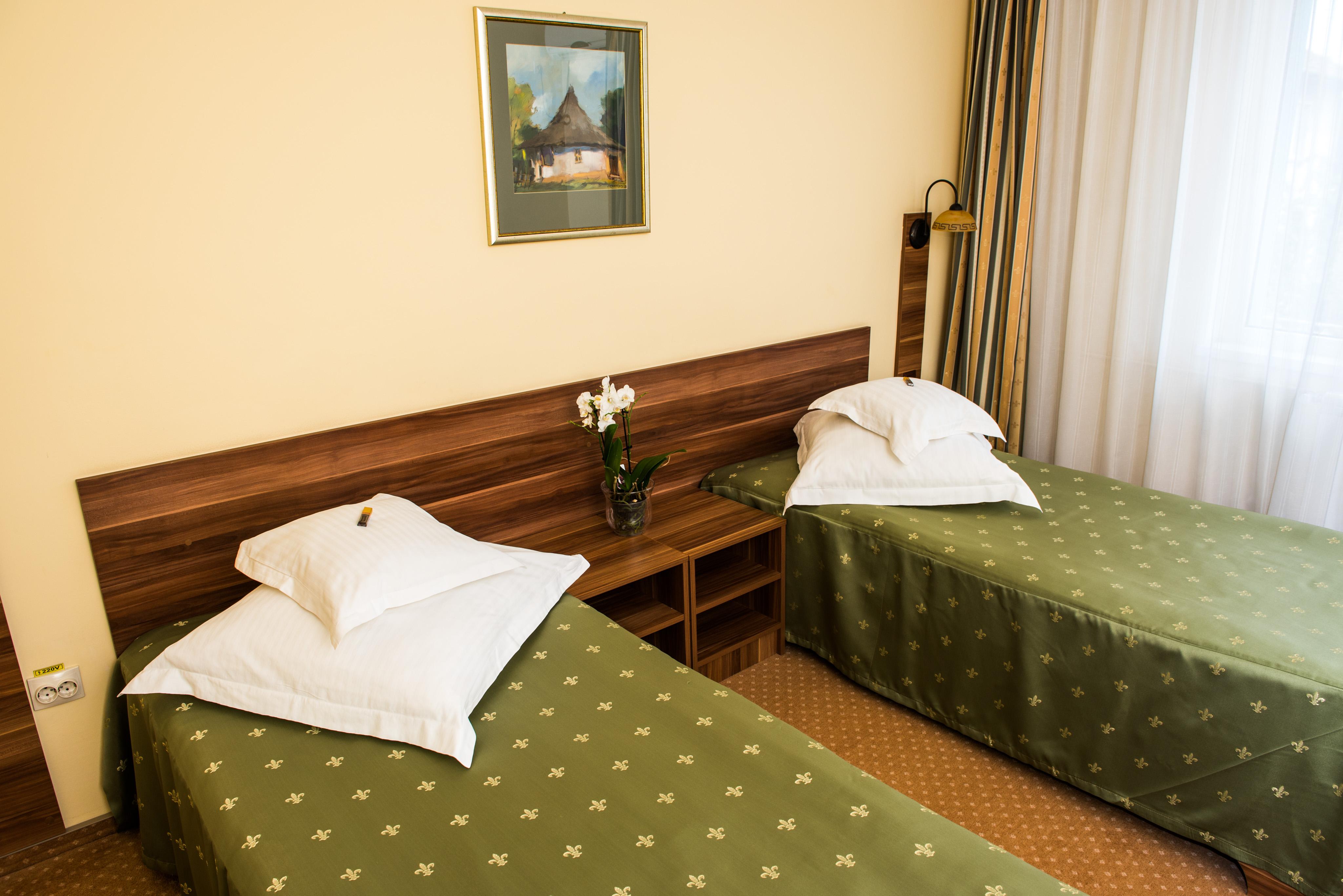 Hotel Lyra Oradea Extérieur photo